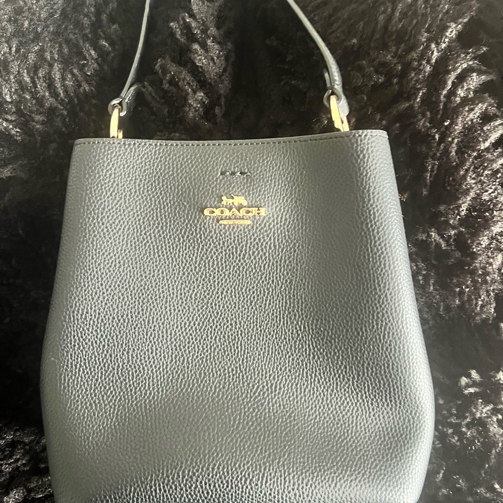 Black coach bucket bag (mini)